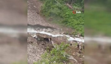 Galer Düzü Yaylası’nda kar kütlesi çöktü: 1 kişi hayatını kaybetti