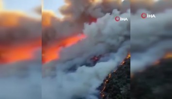Girit Adası'nda orman yangını: 5 bin kişi tahliye edildi
