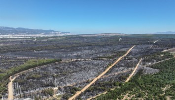İzmir'de Buca'nın iki katı büyüklüğündeki alan kül oldu