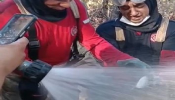İzmir yangınında itfaiyeciler balığı kurtardı