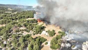 Kula'da orman yangınına müdahale sürüyor