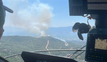 Manisa'da bir orman yangını daha başladı