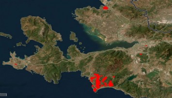 NASA haritaları acı tabloyu görüntüledi: Menderes-Seferihisar yangını 10 bin hektarlık alanı küle çevirdi