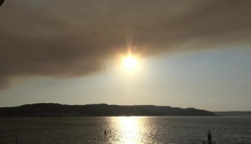Tekirdağ'daki orman yangınının dumanı Çanakkale Boğazı'nı kapladı
