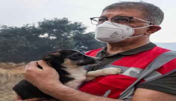 Tugay’dan duygulandıran yangın paylaşımı