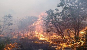 Yangında şehit olan ekibin son görüntüsü ortaya çıktı