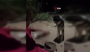 Ankara’da köpeğine alkol içiren adam o anları kameraya aldı