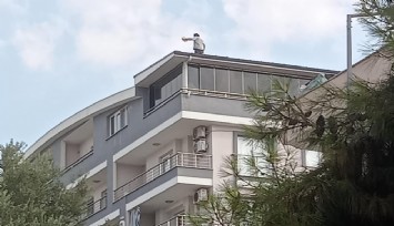 Aydın’da çatıdaki adam ikna ile indirildi: Polisin çabası yarım saat sürdü