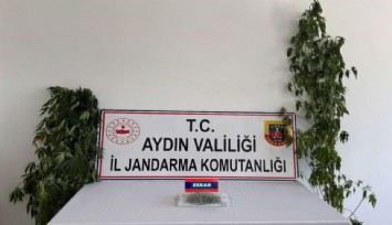 Aydın’da tacirlere baskın sürprizi: 13 şüpheli yakalandı