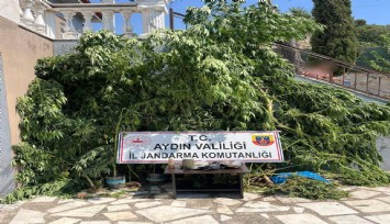 Evinin bahçesine saklamak istedi, narkotik köpeğine takıldı
