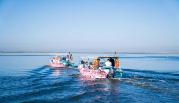 Flamingo Yolu turları başladı
