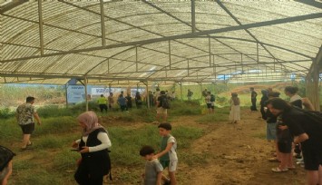 Manisa’da yürekler ağza geldi: Yoldan çıkan otobüste 35 yolcu ölümden döndü