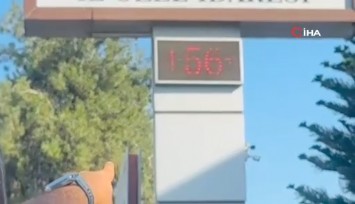 Osmaniye’de şok sıcaklık: Termometreler 56 dereceyi gösterdi