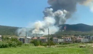 Soma'da orman yangını
