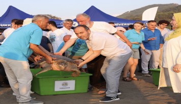 Tedavi edilen caretta carettaların mavi yolculuğu ilk kez yerli uydu ile izlenecek