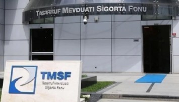 TMSF, Ekotürk'e el koydu