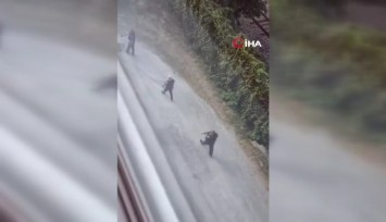 ABD'de üniversitede silahlı saldırgan paniği