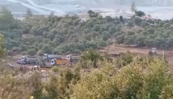 Akbelen’de zeytinler sökülüyor: Köylüler ve jandarma karşı karşıya