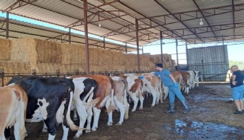 Nazilli'de 14 mahalle karantinada