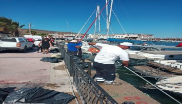 Urla'da kıyı ve deniz temizliği yapıldı