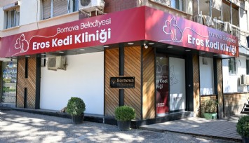 Bornova’da Eros Kedi Kliniği hayvanseverlerin buluşma noktası oldu
