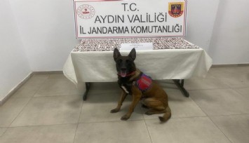 Jandarmadan uyuşturucu operasyonu: 3 şüpheli gözaltında