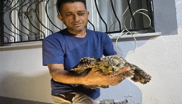 Osmaniye'de yaralı şahinin sıcak dostluğu