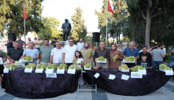 Sarıgöl'de Sultani üzüm yarışması