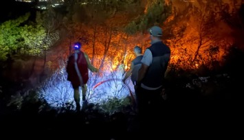 Söke'deki orman yangınının yayılması durduruldu