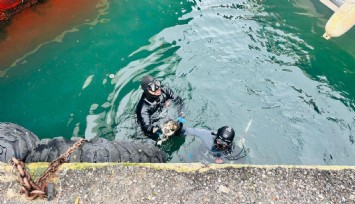 İzmir İtfaiyesi’nden kedi operasyonu