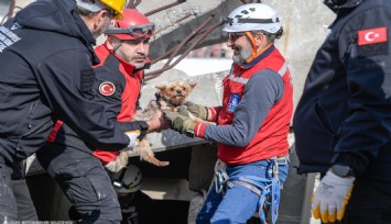 Afetlerde mahsur kalan hayvanlar unutulmayacak