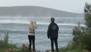 Bodrum’da fırtına etkisi: Tekneler karaya oturdu, ağaçlar devrildi