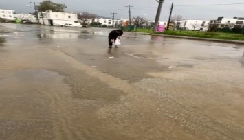 Bodrum’da sağanak baskını: Gölet taştı, asfalta balık yağdı
