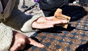 Bornova’da toprak kadınlarla canlanıyor
