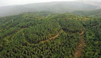 İzmir’de Kemalpaşa Çambel Mahallesi’ndeki alan orman sınırları dışına çıkarıldı
