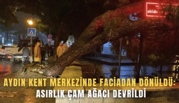 Aydın kent merkezinde faciadan dönüldü: Asırlık çam ağacı devrildi
