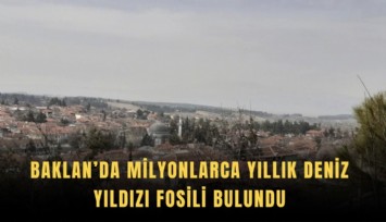 Baklan’da milyonlarca yıllık deniz yıldızı fosili bulundu