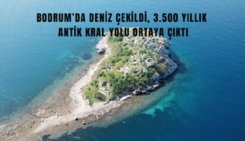 Bodrum’da deniz çekildi, 3.500 yıllık Antik Kral Yolu ortaya çıktı