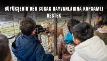 Büyükşehir’den sokak hayvanlarına kapsamlı destek