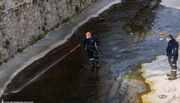 Büyükşehirden mevsimsel sineklere önlem