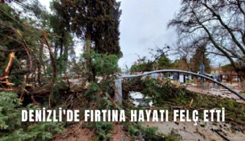 Denizli'de fırtına hayatı felç etti