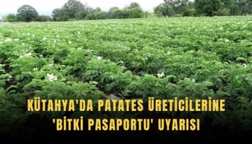 Kütahya'da patates üreticilerine 'Bitki Pasaportu' uyarısı
