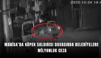 Manisa’da köpek saldırısı davasında belediyelere milyonluk ceza