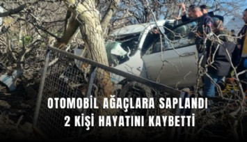 Otomobil ağaçlara saplandı, 2 kişi hayatını kaybetti
