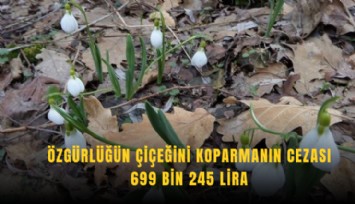 Özgürlüğün çiçeğini koparmanın cezası 699 bin 245 lira