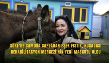 Söke’de çamura saplanan eşek Fıstık, Kuşadası Rehabilitasyon Merkezi’nin yeni maskotu oldu