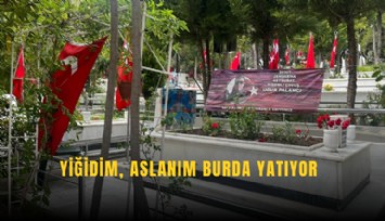 Yiğidim, aslanım burda yatıyor