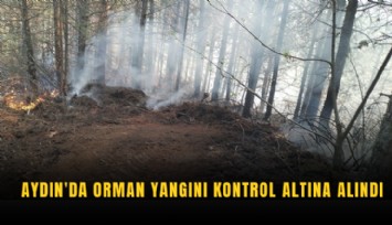 Aydın'da orman yangını kontrol altına alındı