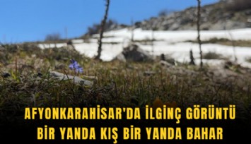 Bir yanda kış bir yanda bahar