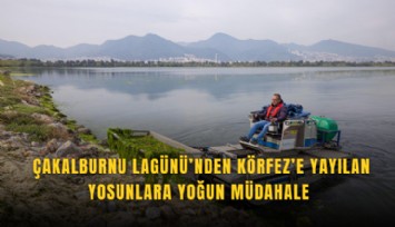 Çakalburnu Lagünü’nden Körfez’e yayılan yosunlara yoğun müdahale